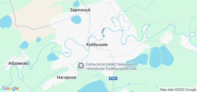 Новосибирск куйбышев на машине. Куйбышев Новосибирская область на карте