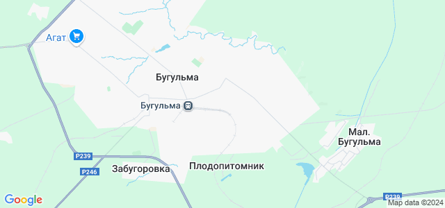 Карта бугульма